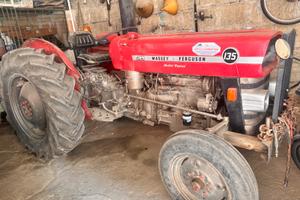 Trattore Massey  Ferguson 135