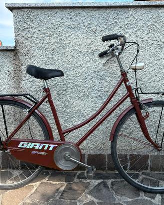 Bicicletta da donna 26”