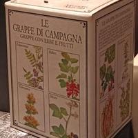Le grappe di campagna Mazzetti Altavilla cofanetto
