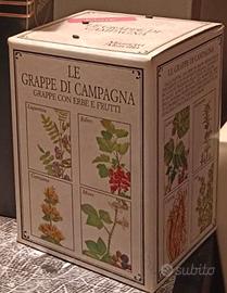 Le grappe di campagna Mazzetti Altavilla cofanetto