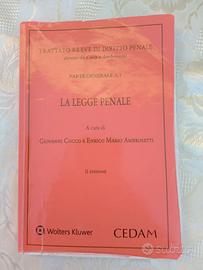 Libro - la legge penale