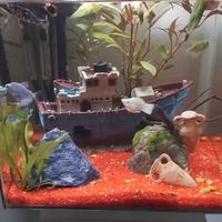 Acquario e supporto stile moderno