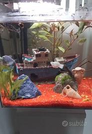 Acquario e supporto stile moderno