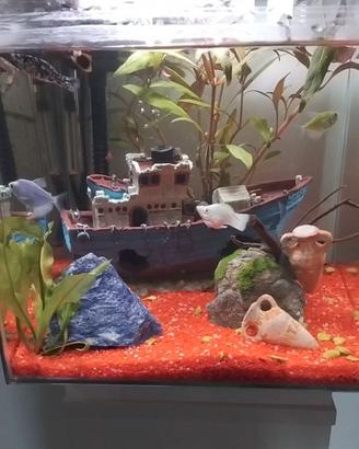 Acquario e supporto stile moderno