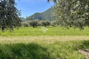 TER. RESIDENZIALE A POVE DEL GRAPPA