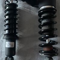 Ammortizzatori post harley