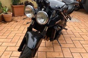 Triumph speed 