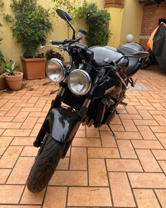 Triumph speed 