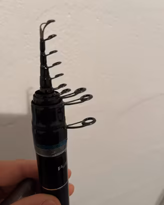 Canna da pesca daiwa amorphous