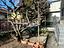 Immagine 25