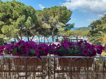 Mesi invernali. Lerici Centralissimo fronte mare