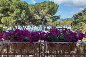 Mesi invernali. Lerici Centralissimo fronte mare