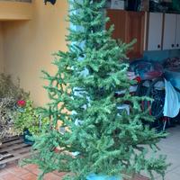 Albero natalizio 