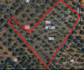 Terreno agricolo Ugento [LOCALITÀ I ROMANI] 8000mq