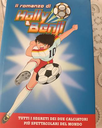 il romanzo di holly e benji