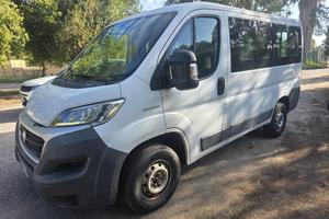 Fiat Ducato Panorama 9 posti 