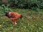 Immagine 2