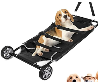 Barella per cani