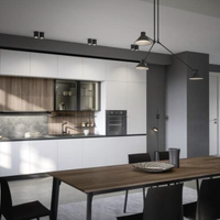 CUCINA COMPONIBILE LINEARE L420 con 4 elettrodom.