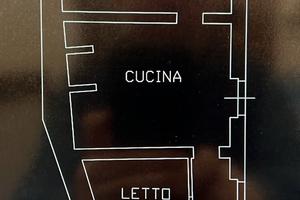 Uliveto e abitazione