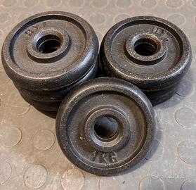 Nr 08 dischi ghisa 1 kg foro d.25