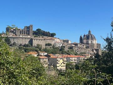 TER. RESIDENZIALE A MONTEFIASCONE