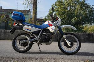 VENDUTA - Honda XL 600 RM Rothmans