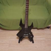 Chitarra principianti + accessori