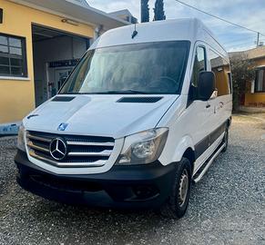 Sprinter 9 posti, sollevatore disabili