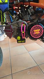 ricambi pit bike,ovhale,mini gp,pitom,Ayrton,bucci