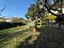 Immagine 26