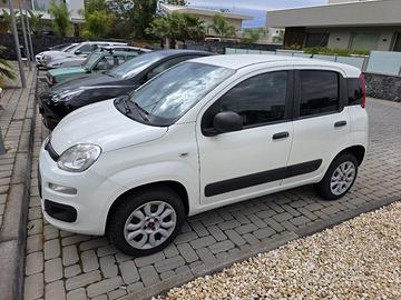 fiat panda VAN AUTOCARRO 2 posti