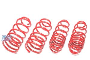 KIT MOLLE SPORTIVI PER CITROËN