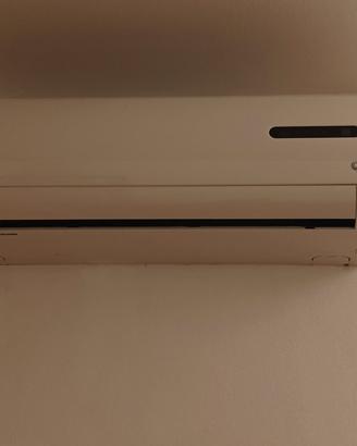 condizionatore inverter 