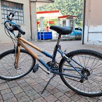 Bici usato
