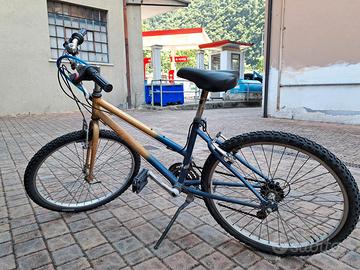 Bici usato