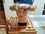 Immagine 3