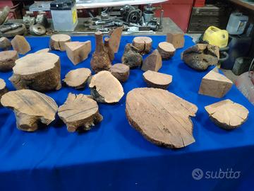 61 ciocchi di erica pronti per lavorazione