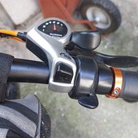 Bici elettrica