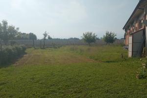 Terreno agricolo
