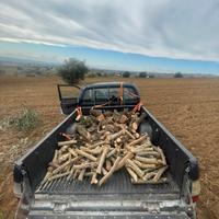 Legna di olivo da ardere