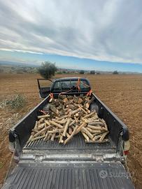 Legna di olivo da ardere