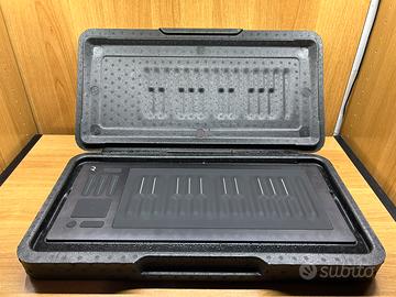 Roli seaboard rise 25 come nuovo