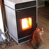 Stufa pellet idro Famar Brevetti Zefira H2O 13kW