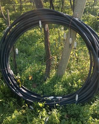 Ala irrigua micro jet