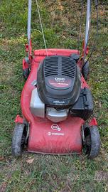 tagliaerba Sterwins Honda 