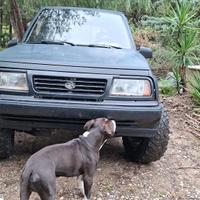 suzuki vitara cabriolet 1600 8 valvole gpl
