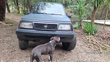 suzuki vitara cabriolet 1600 8 valvole gpl