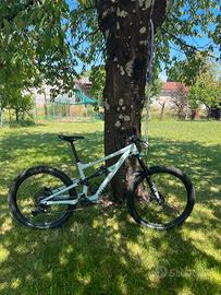 Specialized status s4