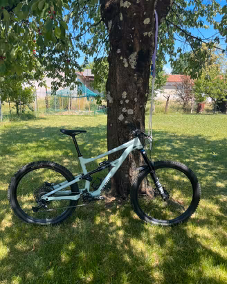 Specialized status s4